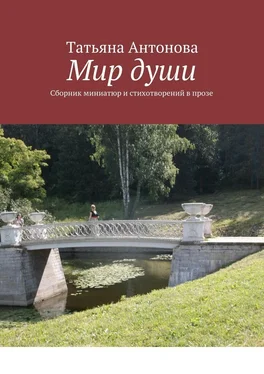 Татьяна Антонова Мир души. Сборник миниатюр и стихотворений в прозе обложка книги