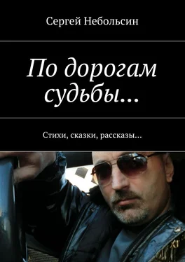 Сергей Небольсин По дорогам судьбы… Стихи, сказки, рассказы… обложка книги