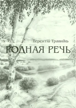 Терентiй Травнiкъ Родная речь. Стихотворения обложка книги