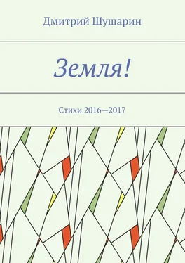 Дмитрий Шушарин Земля! Стихи 2016—2017 обложка книги