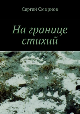 Сергей Смирнов На границе стихий. Проза обложка книги