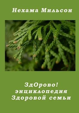 Нехама Мильсон ЗдОрово! Энциклопедия здоровой семьи обложка книги