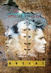 Алексей Кононов - Интуит