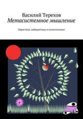 Василий Терехов - Метасистемное мышление. Эвристика, кибернетика и психотехники