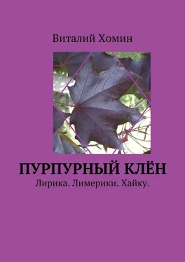 Виталий Хомин Пурпурный клён. Лирика. Лимерики. Хайку. обложка книги