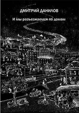 Дмитрий Данилов И мы разъезжаемся по домам обложка книги