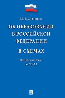 Мария Скопинова Федеральный закон «Об образовании в Российской Федерации» в схемах. Учебное пособие обложка книги