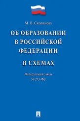 Мария Скопинова - Федеральный закон «Об образовании в Российской Федерации» в схемах. Учебное пособие