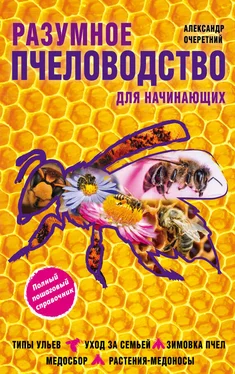 Александр Очеретний Разумное пчеловодство для начинающих. Полный пошаговый справочник обложка книги
