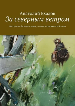 Анатолий Ехалов За северным ветром обложка книги