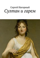 Сергей Нагорный - Султан и гарем. Сказка