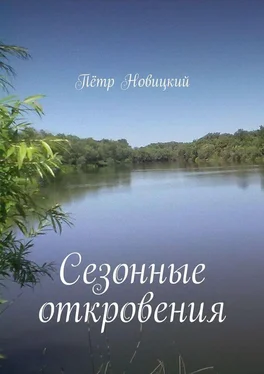 Пётр Новицкий Сезонные откровения обложка книги