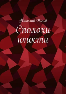 Николай Углов Сполохи юности обложка книги