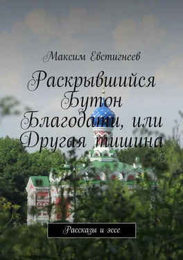 Максим Евстигнеев Раскрывшийся Бутон Благодати, или Другая тишина. Рассказы и эссе обложка книги