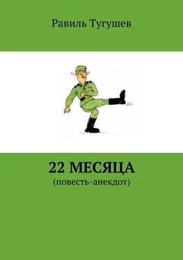 Равиль Тугушев 22 месяца. Повесть-анекдот обложка книги