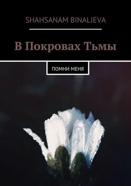 Shahsanam Binalieva В Покровах Тьмы. Помни меня обложка книги