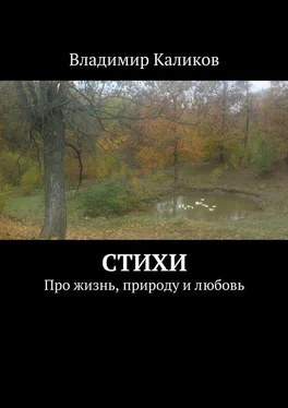 Владимир Каликов Стихи. Про жизнь, природу и любовь обложка книги