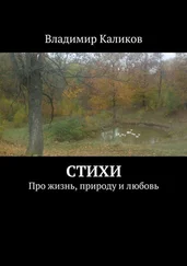 Владимир Каликов - Стихи. Про жизнь, природу и любовь