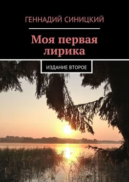Геннадий Синицкий Моя первая лирика. Издание второе обложка книги