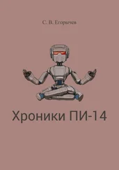 Сергей Егорычев - Хроники Пи-14
