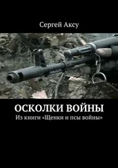 Сергей Аксу - Осколки войны. Из книги «Щенки и псы войны»