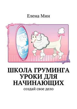 Елена Мин Школа груминга. Уроки для начинающих. Создай свое дело обложка книги