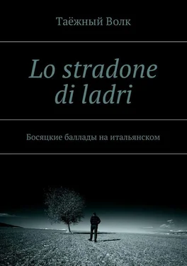 Таёжный Волк Lo stradone di ladri. Босяцкие баллады на итальянском обложка книги