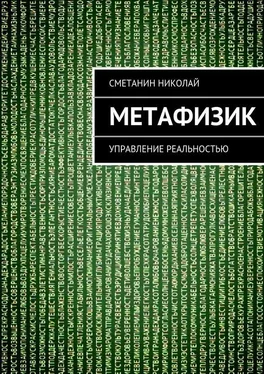 Николай Сметанин Метафизик. Управление реальностью обложка книги