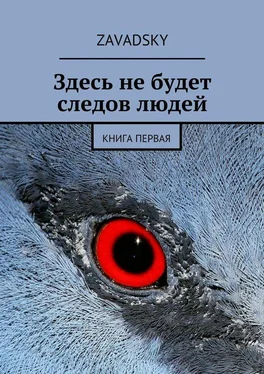 Zavadsky Здесь не будет следов людей. Книга первая обложка книги