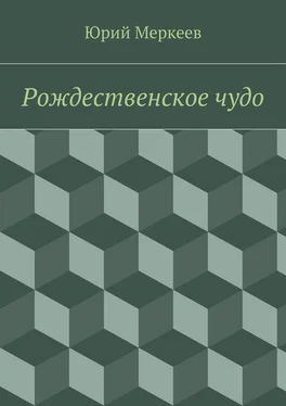 Юрий Меркеев Рождественское чудо. Для семейного чтения обложка книги