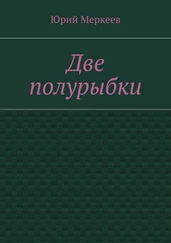 Юрий Меркеев - Две полурыбки. Повесть