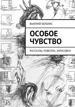 Валерий Белолис Особое чувство. Рассказы, новеллы, зарисовки обложка книги