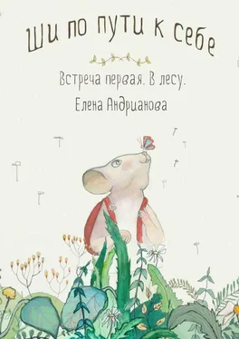 Елена Андрианова Ши по пути к себе. Встреча первая. В лесу обложка книги