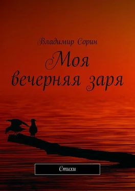 Владимир Сорин Моя вечерняя заря. Стихи обложка книги