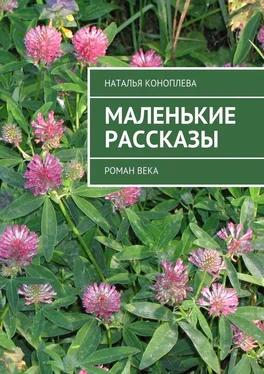 Наталья Коноплева Маленькие рассказы. Роман века обложка книги