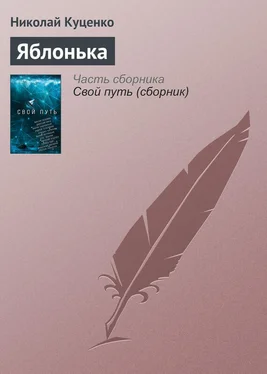 Николай Куценко Яблонька обложка книги