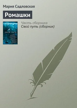 Мария Садловская Ромашки обложка книги