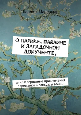 Шарлотт Марешаль О парике, павлине и загадочном документе. Или Невероятные приключения парижанки Франсуазы Бонне обложка книги