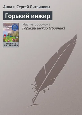 Анна и Сергей Литвиновы Горький инжир обложка книги