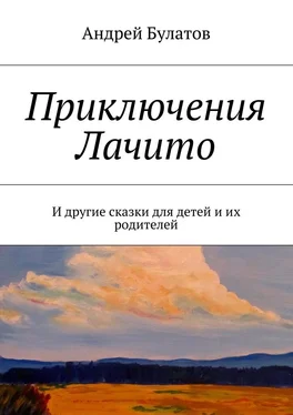 Андрей Булатов Приключения Лачито. И другие сказки для детей и их родителей обложка книги