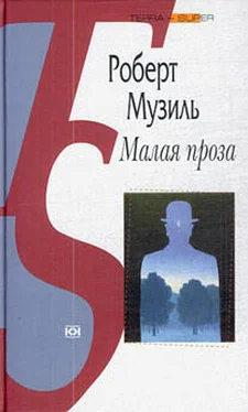 Роберт Музиль Малая проза обложка книги