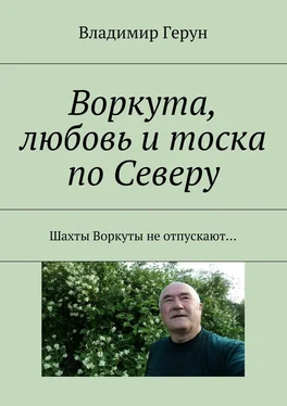 Владимир Герун Воркута, любовь и тоска по Северу. Шахты Воркуты не отпускают… обложка книги