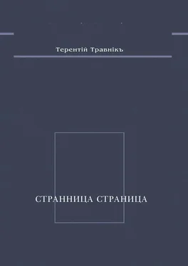 Терентiй Травнiкъ Странница страница. Стихотворения обложка книги