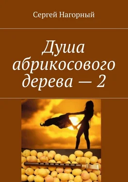 Сергей Нагорный Душа абрикосового дерева – 2 обложка книги