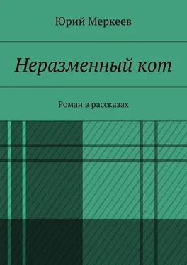 Юрий Меркеев Неразменный кот. Роман в рассказах обложка книги