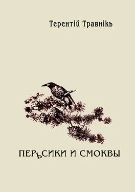 Терентiй Травнiкъ Перьсики и смоквы обложка книги