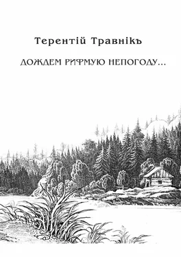 Терентiй Травнiкъ Дождем рифмую непогоду… обложка книги