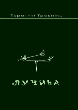 Терентiй Травнiкъ Лучина обложка книги