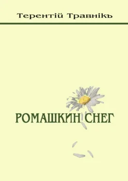 Терентiй Травнiкъ Ромашкин снег обложка книги