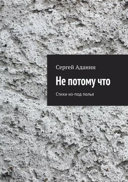 Сергей Аданин Не потому что. Стихи из-под полья обложка книги